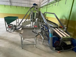 cashew factory in cambodia automatic cashew shelling machine