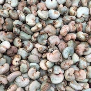 Raw Cashew Nut