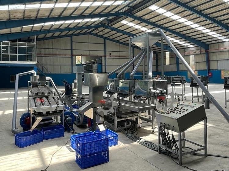 Automatic Cashew Nut Processing Line