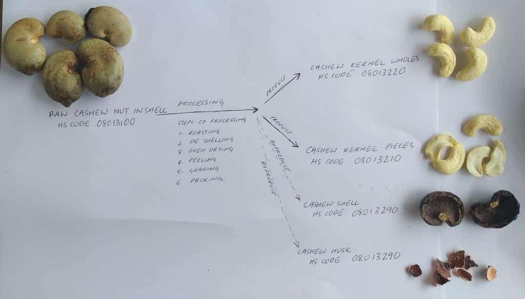 Cashew Kernels HS Code Harmonized Code for Cashew Kernel